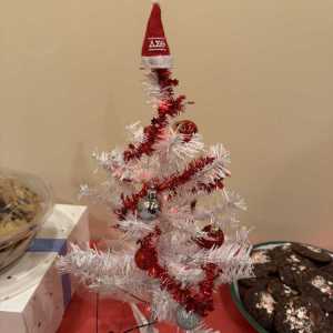 photo-dec-20-2024-8-26-02-pm